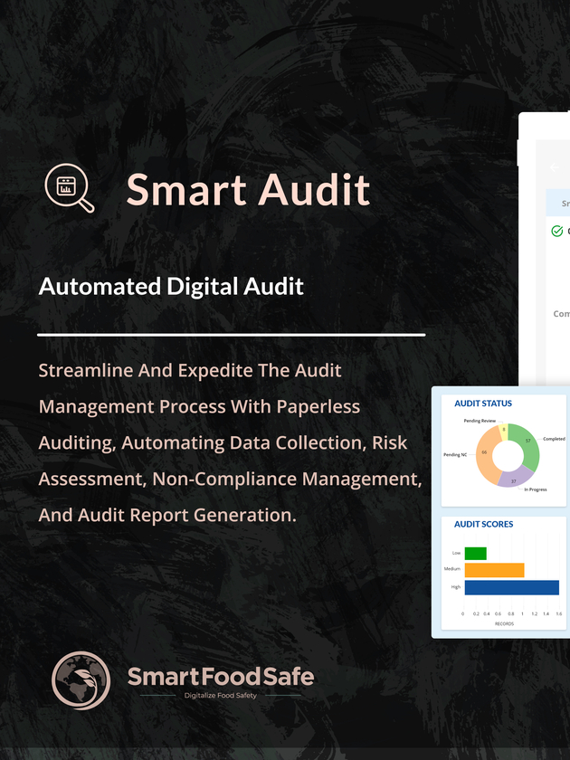 Smart Audit Automated Digital Audit Smart Audit Automated Digital Audit