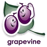 Grapevine Surveys logo