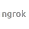 ngrok logo