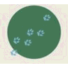 Cover Your Tracks logo