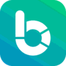 Budget Flow logo