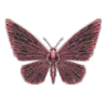 LureMachina logo